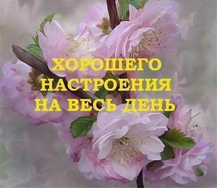Картинки хорошего дня и настроения женщине Pin by Маргарита Решта on Настроение Emotions, Good morning, New community
