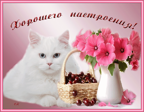 Картинки хорошего дня и настроения женщине Анимированная открытка Хорошего настроения!