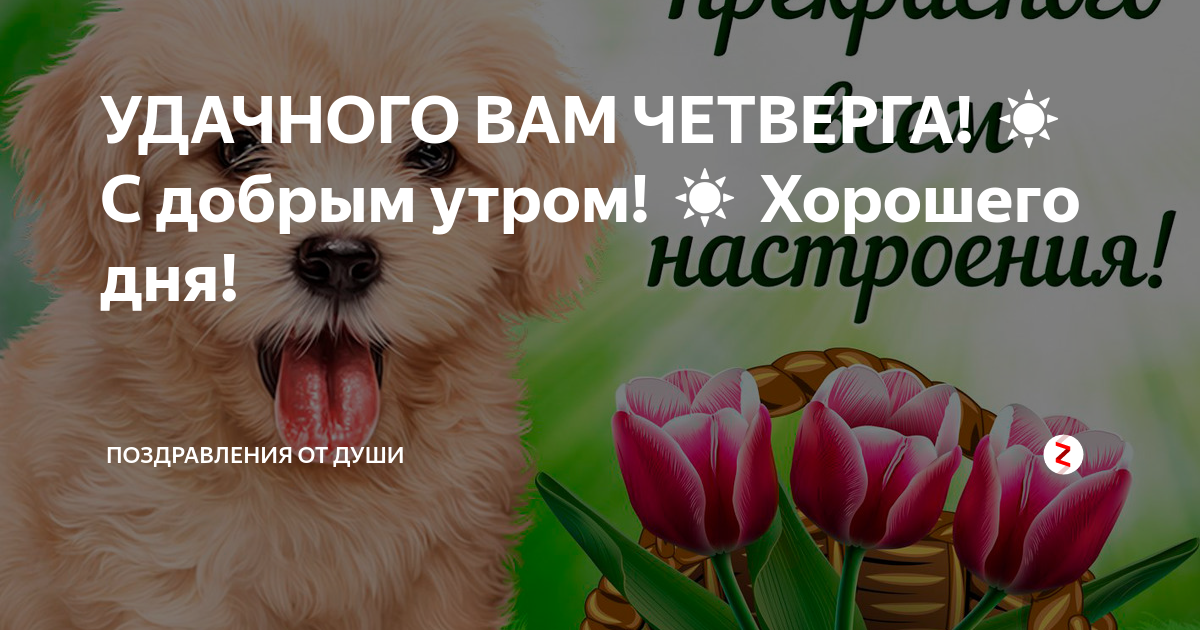 Картинки хорошего дня и отличного четверга УДАЧНОГО ВАМ ЧЕТВЕРГА! ☀ С добрым утром! ☀ Хорошего дня! Поздравления от души Дз