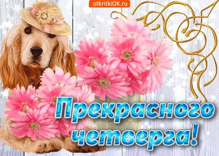 Картинки хорошего дня и отличного четверга Пусть Четверг будет полон тепла и света!