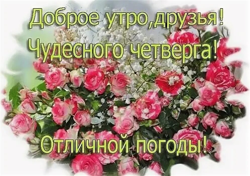 Картинки хорошего дня и отличного четверга Доброе утро друзья чудесного четверга отличной погоды