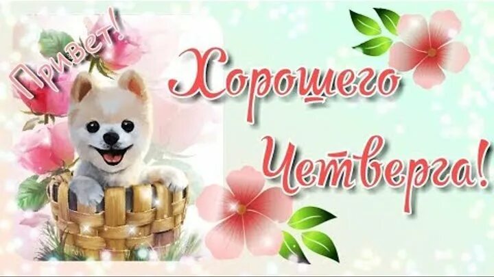 Картинки хорошего дня и отличного четверга Хорошего Четверга! С Добрым Утром в четверг! Позитивное пожелание!