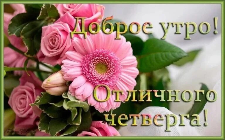 Картинки хорошего дня и отличного четверга Доброе утро! Живите, творите, любите, дерзайте, своим оптимизмом других заряжайт