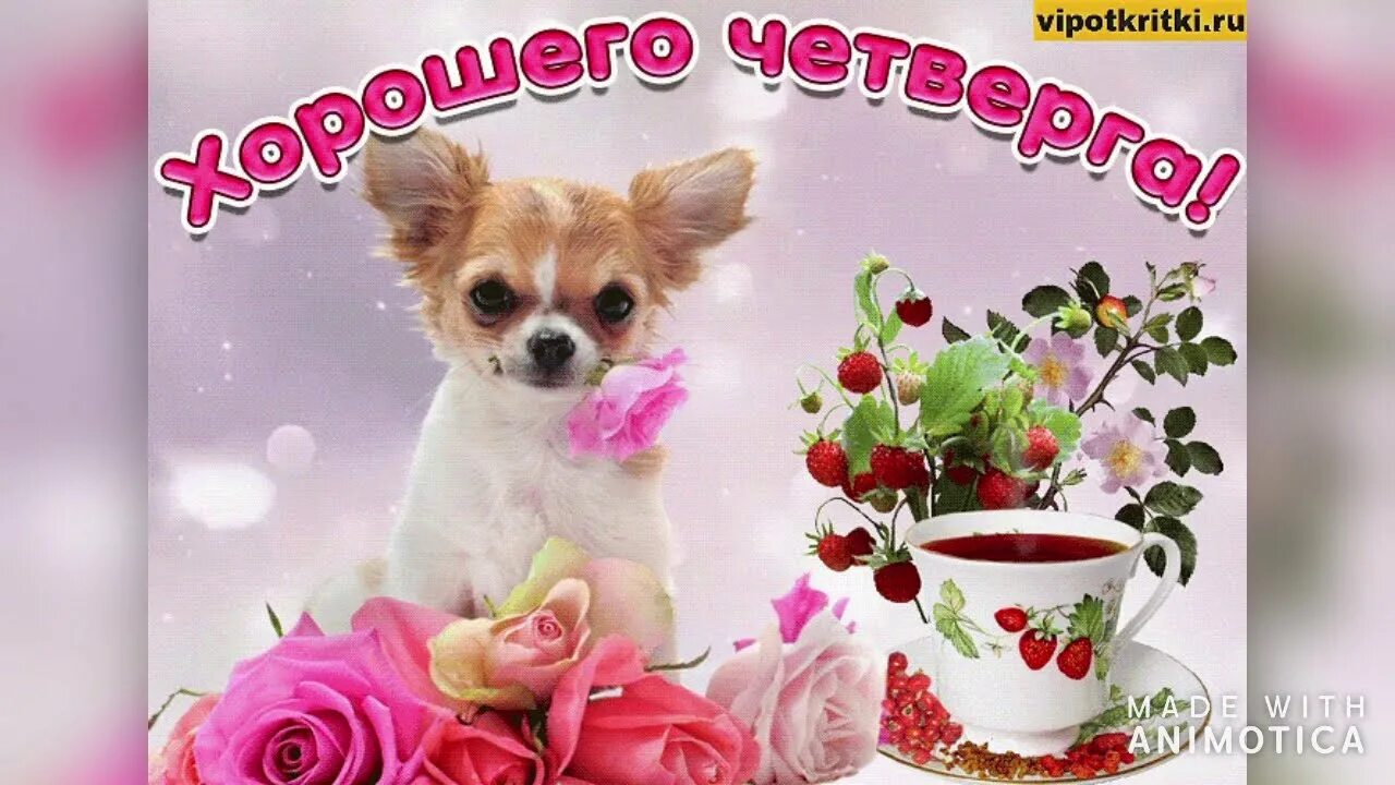 Картинки хорошего дня и отличного четверга Доброго утречка! Счастливого четверга! Открытка С Добрым утром - YouTube