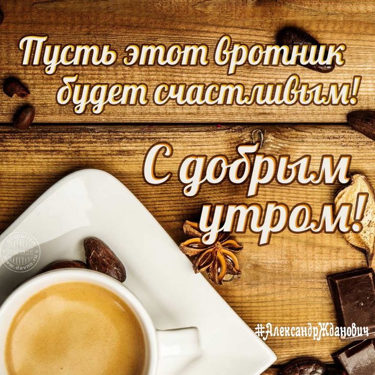Картинки хорошего дня и отличного мужчине И только так! #АлександрЖданович #позитив #утро #доброеутро