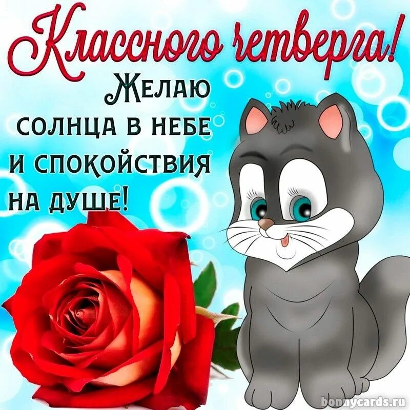 Картинки хорошего дня и прекрасного четверга Классного четверга