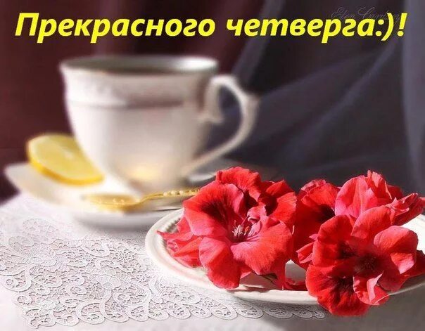 Картинки хорошего дня и прекрасного четверга Доброе утро Доброе утро, Утро четверга и Кофейня