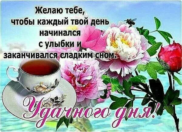 Картинки хорошего дня и здоровья бесплатно Пин от пользователя Татьяна Кривенок на доске пожелания Открытки, Праздничные от