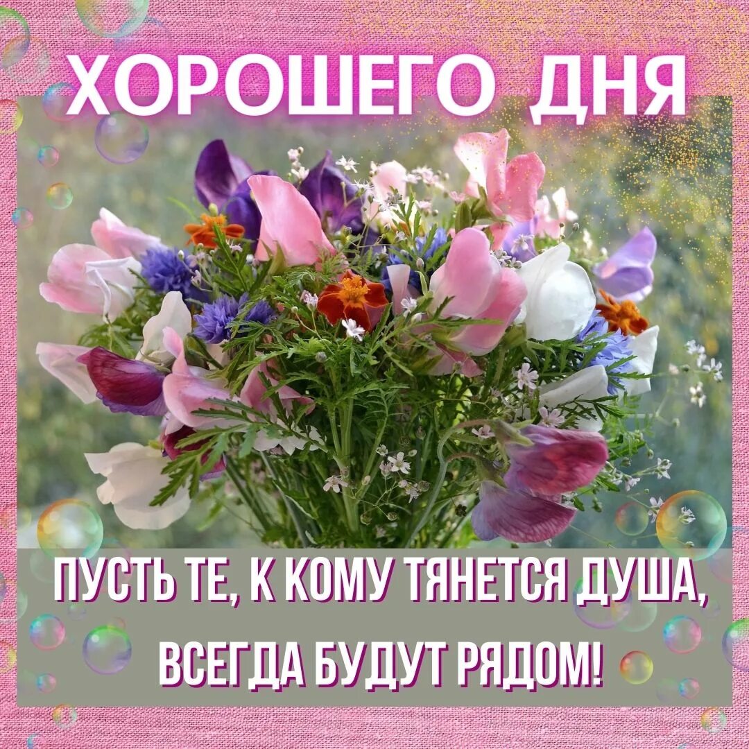 Картинки хорошего дня и здоровья бесплатно Добра и благодати желаю вам: найдено 90 изображений
