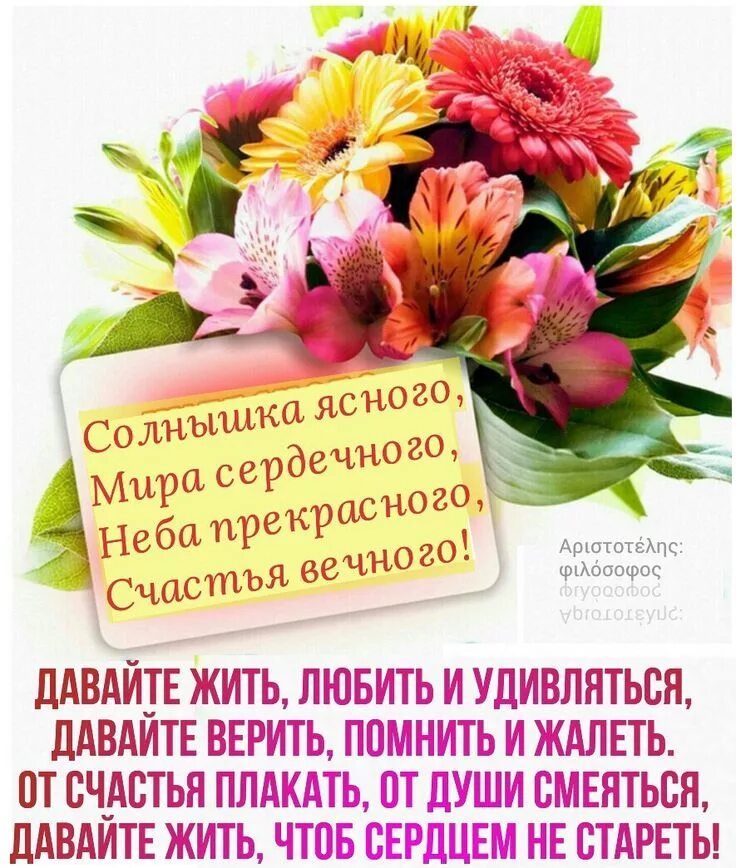 Картинки хорошего дня и здоровья бесплатно Пин на доске доброе утро)) Дни рождения, С днем рождения, Открытки