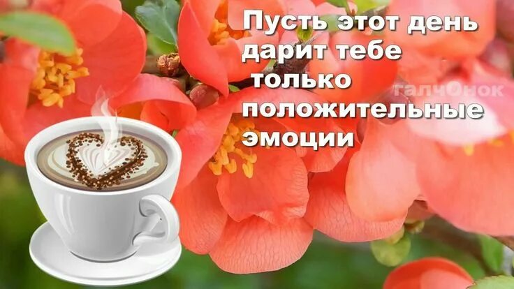 Картинки хорошего дня и здоровья бесплатно Pin van Ходар Лорик op утро