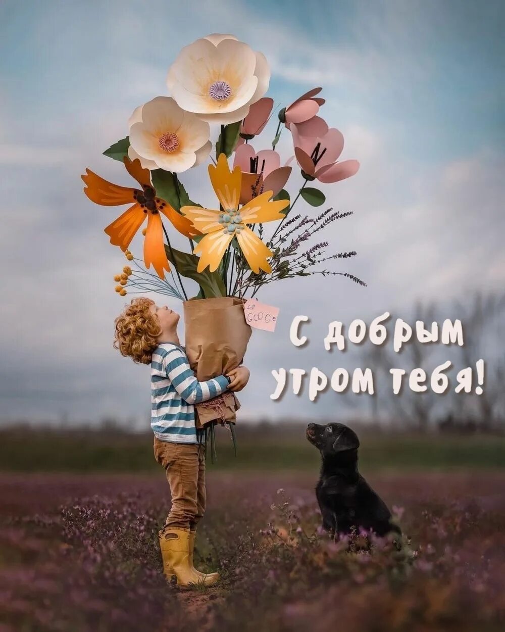 Картинки хорошего дня красивые необычные оригинальные Комментарии, оценки Доброе утро, Рисунки, Счастливые картинки