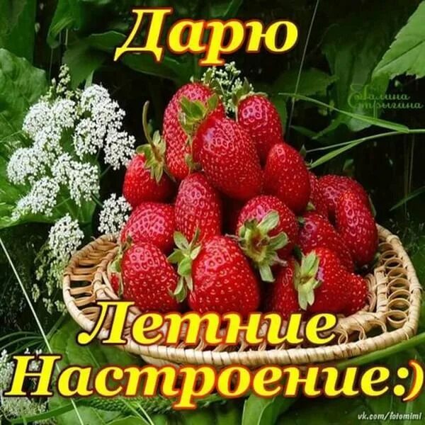 Картинки хорошего дня летнего настроения красивые "НЕ ДУШИ - ПРЕКРАСНЫЕ ПОРЫВЫ" ВКонтакте Ягоды, Доброе утро, Лето