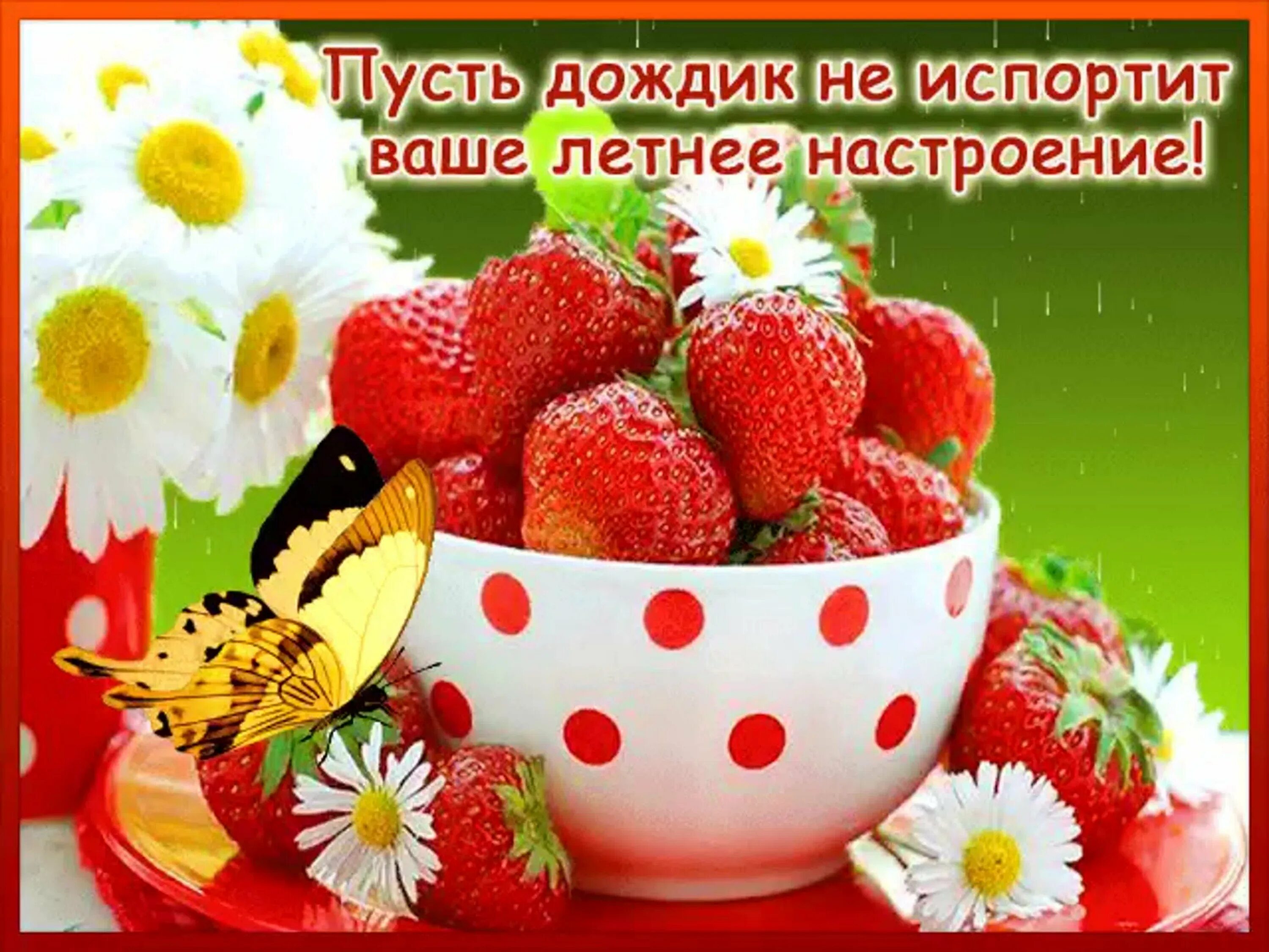 Картинки хорошего дня летнего настроения красивые С новым летним днем и добрым утром: найдено 82 изображений