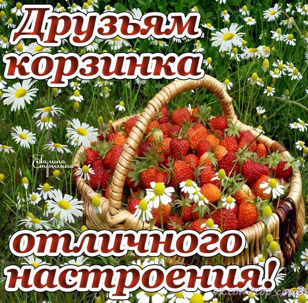 Картинки хорошего дня летнего настроения красивые Хорошая погода прекрасное настроение: найдено 85 изображений