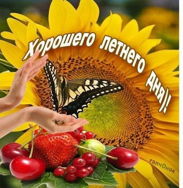 Картинки хорошего дня летнего настроения красивые Пин на доске Ранок Картинки, Лето