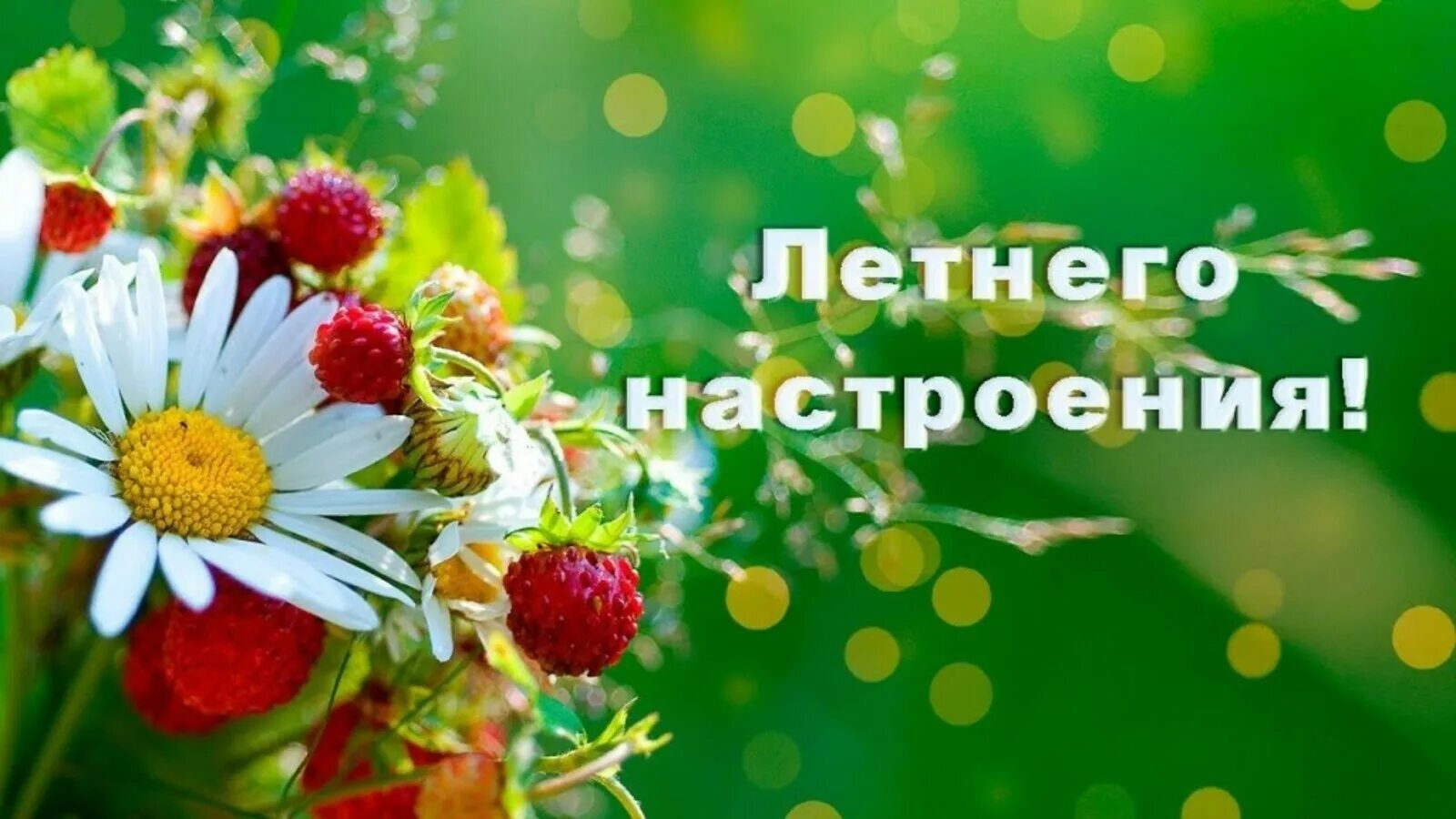 Картинки хорошего дня летние новые С летним днем картинки