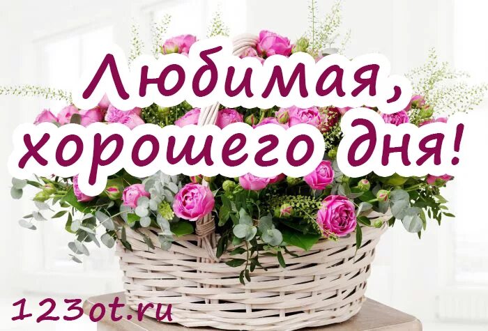 Картинки хорошего дня любимая новые Доброго дня женя: найдено 73 изображений