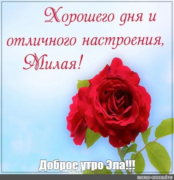 Картинки хорошего дня любимая новые Meme: "Доброе утро Эла!!!" - All Templates - Meme-arsenal.com