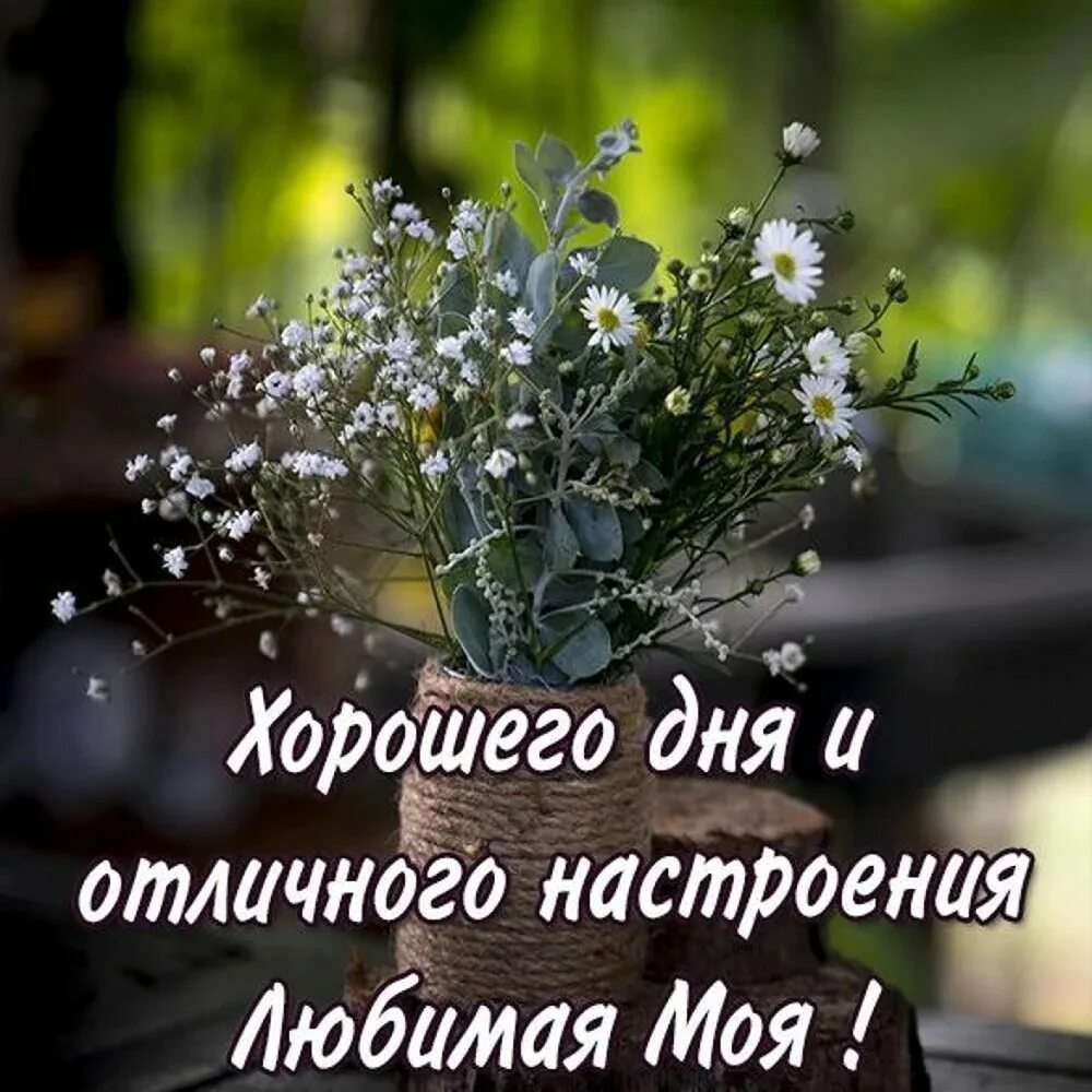 Картинки хорошего дня любимая новые Любимая хорошего дня - Пожелания хорошего дня в картинках, своими словами, в сти