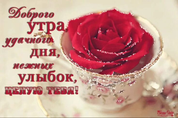 Картинки хорошего дня любимой женщине Доброе утро Доброе утро, Гифу, Гифки