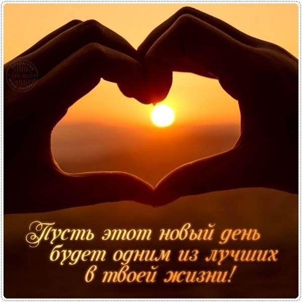Картинки хорошего дня любимый люблю Пин от пользователя Галина на доске Фотографии отношений Мудрые цитаты, Уроки жи