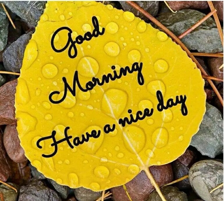 Картинки хорошего дня на английском языке Pin by purvi agrawal on *Good Morning/Good Night* Morning images, Good morning c