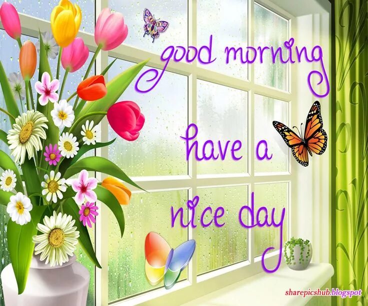 Картинки хорошего дня на английском языке Have A Nice Day Good Morning Greeting Card For Facebook Good morning greeting ca