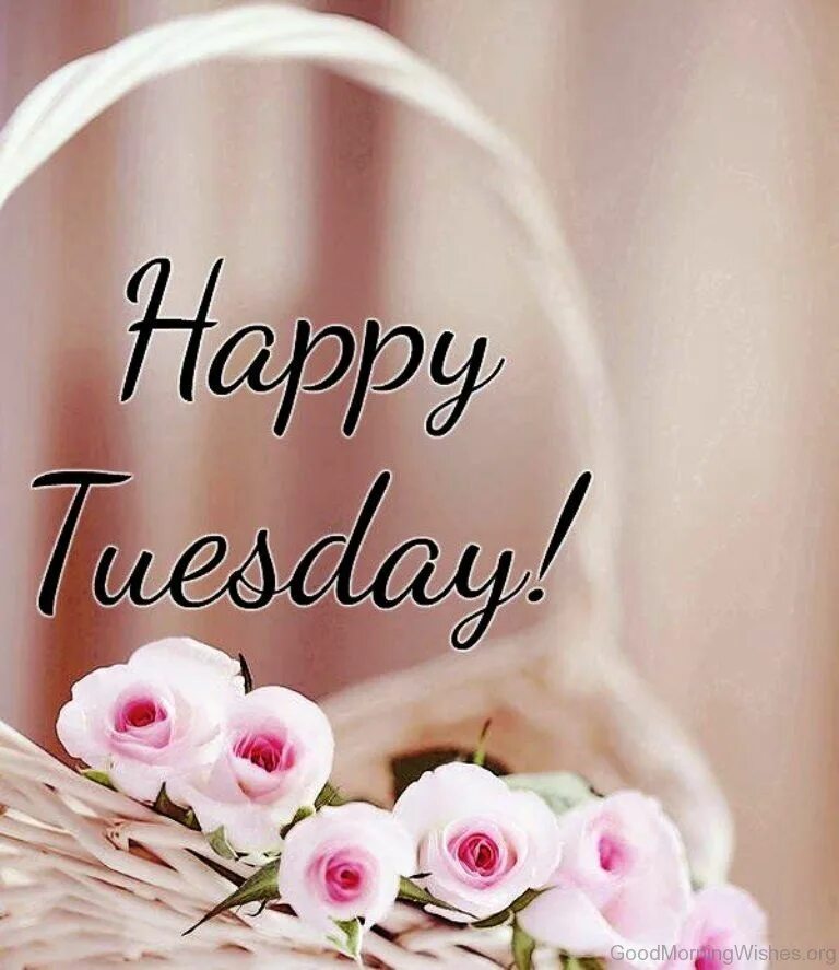 Картинки хорошего дня на английском языке Happy Tuesday 2/13/18 Good morning wishes, Morning wish, Good morning tuesday