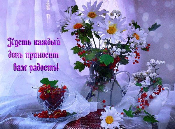 Картинки хорошего дня новенькое скачать бесплатно Анимированная открытка "Пусть каждый день приносит радость!" Радость, Открытки, 