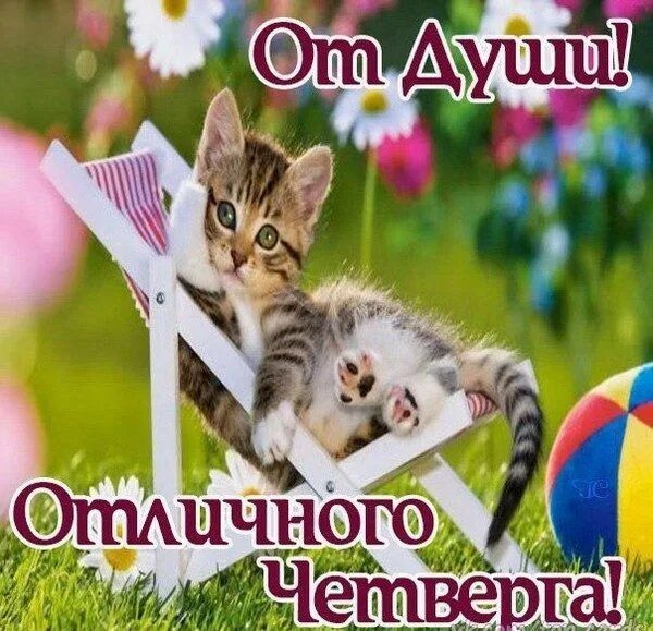 Картинки хорошего дня новые четверг Pin oleh u0418u0440u0438u043Du0430 di Доброе утро четверга