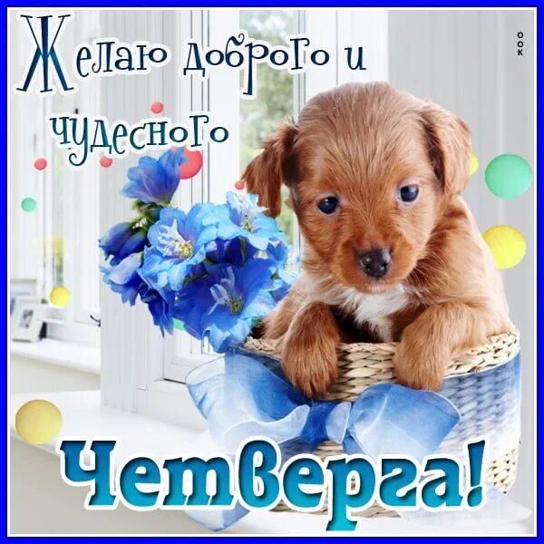 Картинки хорошего дня новые четверг Доброе утро! Хорошего дня! 2023 Автошкола "ЯрФинА" Ярославль/Тутаев ВКонтакте