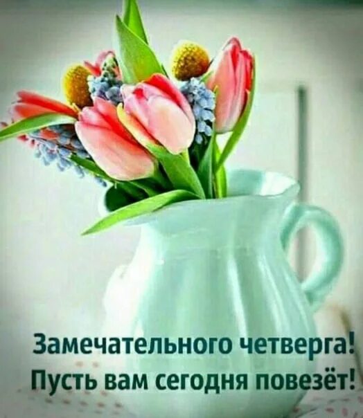 Картинки хорошего дня новые четверг Всем везучего и доброго четверга! Турагентство TUI FUN&SUN Воронеж на Московском