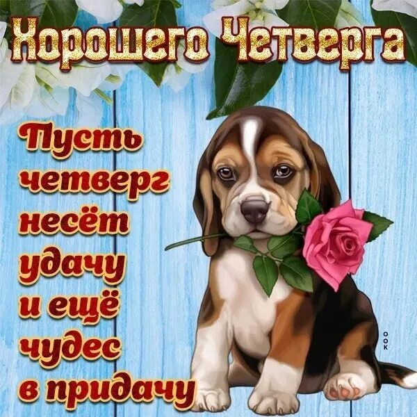 Картинки хорошего дня новые четверг С апрельским добрым утром! Пускай оно взбодрит, Окатит счастьем чудным, На радос
