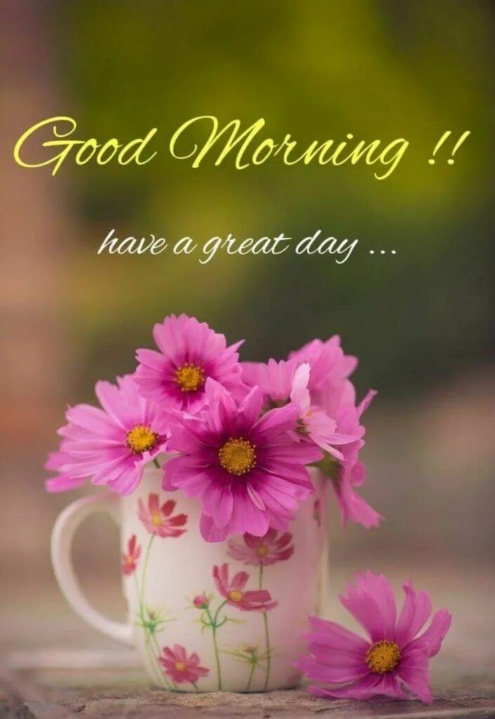 Картинки хорошего дня новые и нежные Good Morning with flowers 206 - Image Diamond Good morning flowers, Good morning