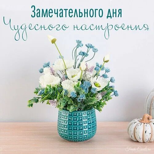 Картинки хорошего дня новые стильные Открытка для тебя