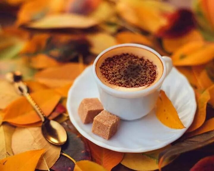 Картинки хорошего дня октябрь кофе Pin by Mona Moni on Mirëmëngjes! Buongiorno! Autumn coffee, Coffee wallpaper, Co