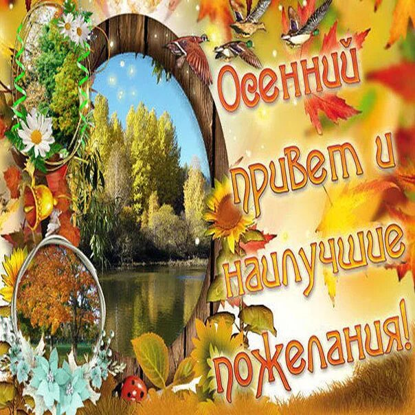 Картинки хорошего дня осенние красивые новинки Я полюбила осень золотую - Всем учителям