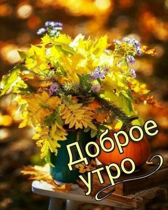 Картинки хорошего дня осенние красивые новинки Пин от пользователя Елена на доске доброе утро Доброе утро, Открытки, Праздничны