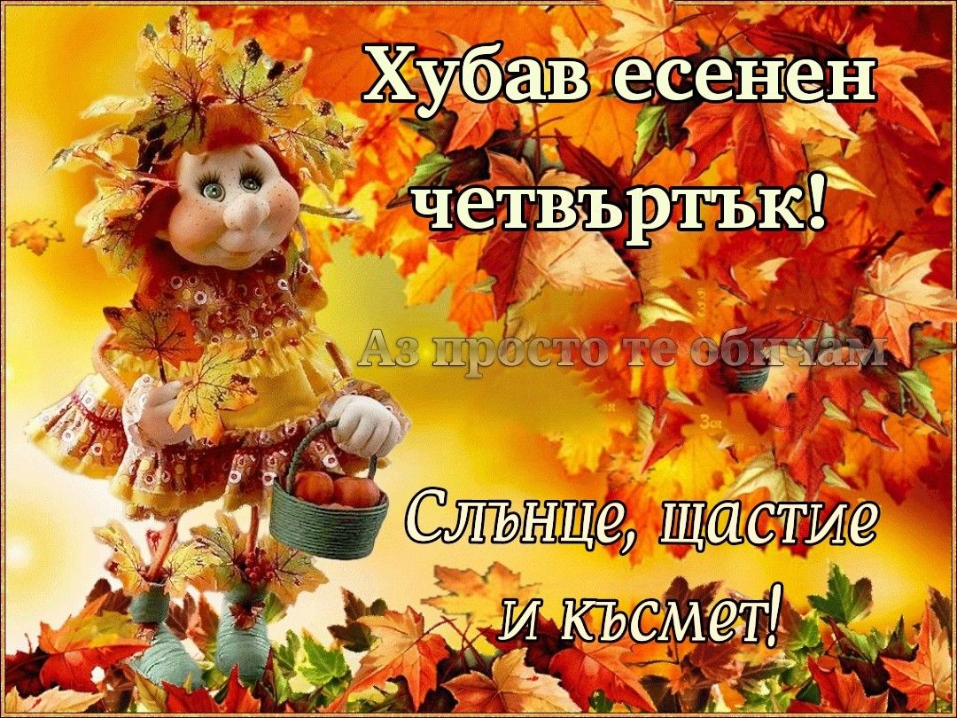 Картинки хорошего дня осенние новые красивые прикольные Пин на доске Добро утро Доброе утро