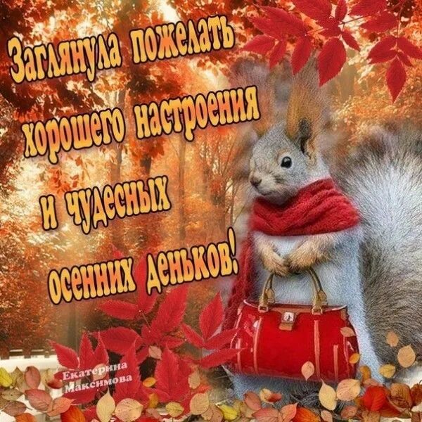 Картинки хорошего дня осенние новые красивые прикольные Пин на доске Пожелания Осенний пейзаж, Осень, Пейзажи