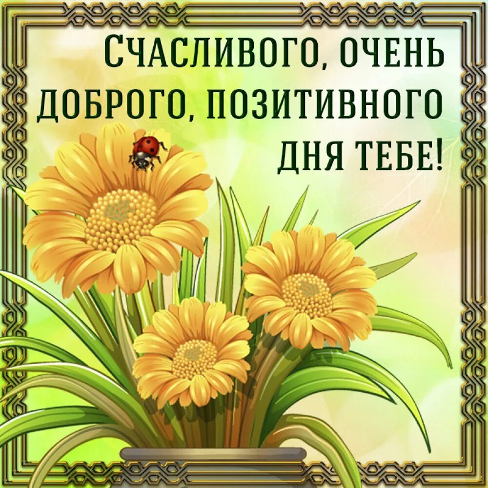 Картинки хорошего дня позитивные женщине красивые Отличного позитивного дня и хорошего настроения картинки: найдено 86 изображений