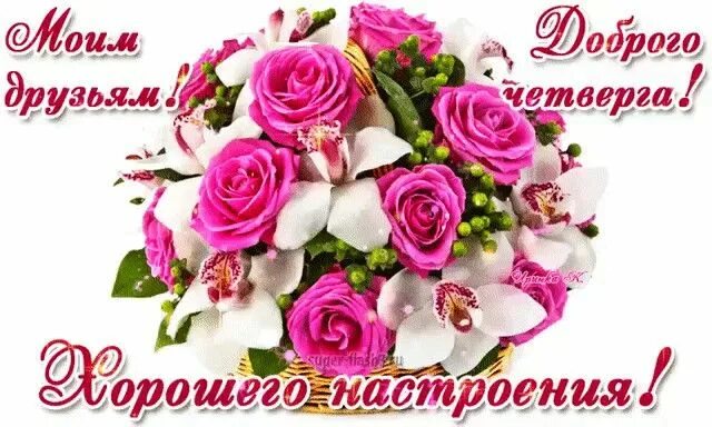 Картинки хорошего дня прекрасного настроения четверг Pin su С днем рождения nel 2024