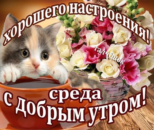 Картинки хорошего дня прекрасного настроения среда С добрым утром. В гостях у галчОнка ВКонтакте