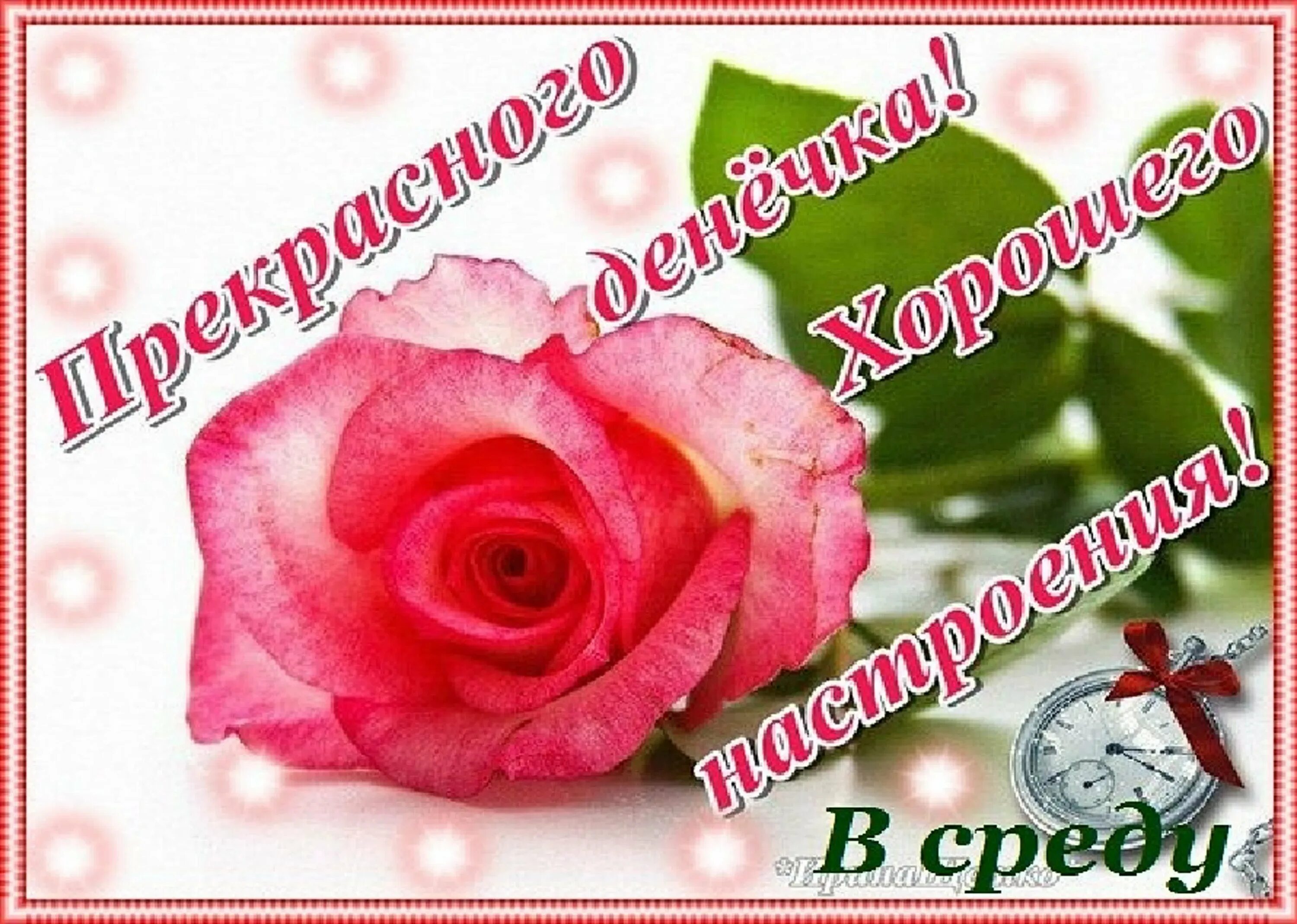Картинки хорошего дня прекрасного настроения среда В ноябре к нам аист мчится. Непременно все случится! - Страница 127 - Планируем 