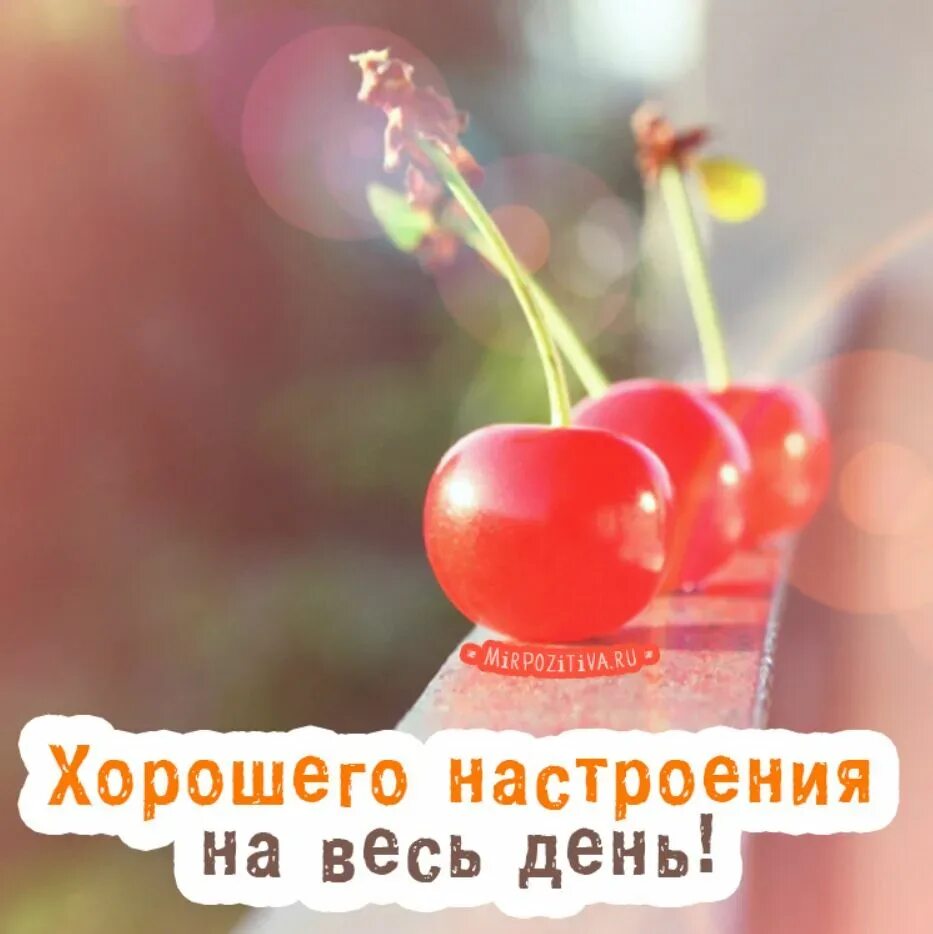 Картинки хорошего дня прикольные бесплатно новые Хорошего всем дня - Картинки и открытки хорошего дня любимый. tre-i-dnr.ru