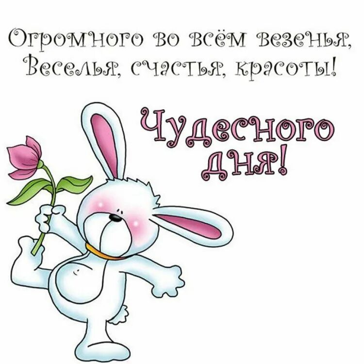 Картинки хорошего дня прикольные девушке Открытки и картинки "Добрый день!" - красивые, нежные и прикольные