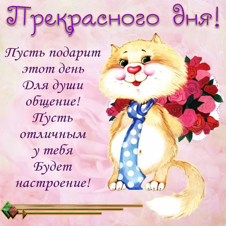 Картинки хорошего дня прикольные девушке Новая открытка! От всей души пожелание прекрасного дня, открытка доброго дня! От