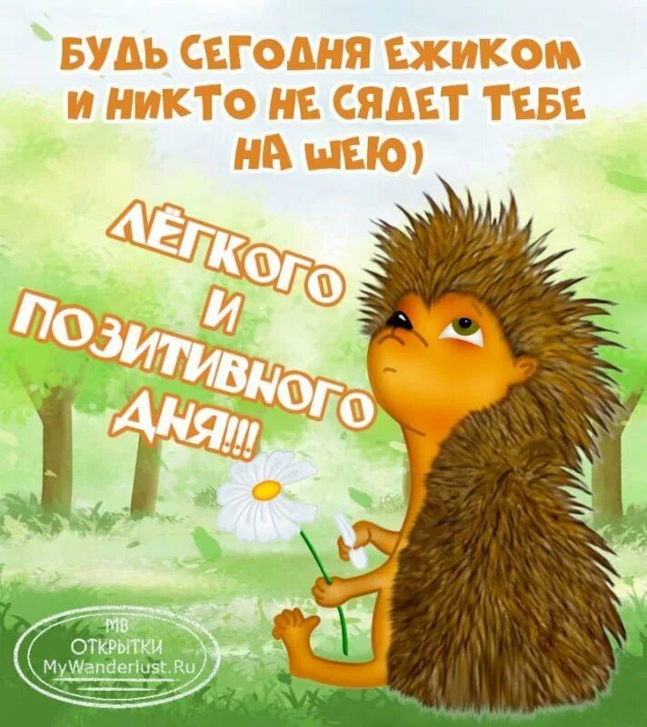 Картинки хорошего дня прикольные интересные позитивные Важно! - SecretSantaЙОЖ 2024! Страница 11 KoniClub.pro