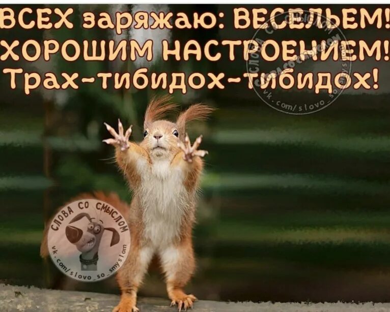 Картинки хорошего дня прикольные поднимающие настроение Ответы Mail.ru: С чего начинается хороший день?